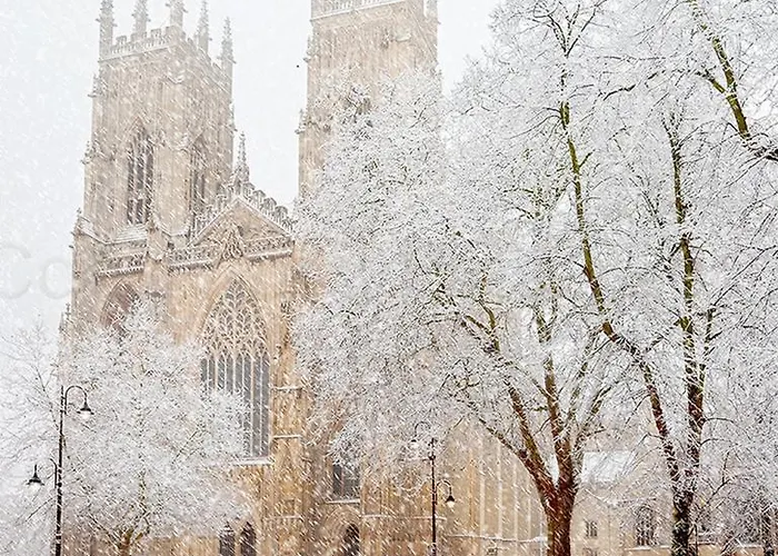 The Old Cart House *