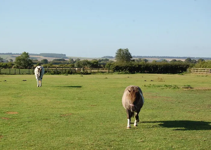 The Old Cart House Ferienhaus *
